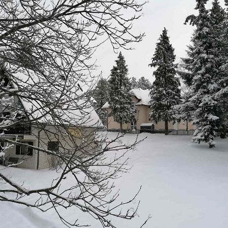 Kuca Za Odmor Zlatibor Villa Buitenkant foto