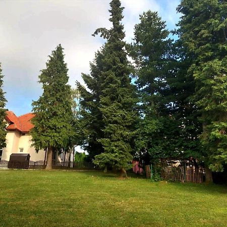 Kuca Za Odmor Zlatibor Villa Buitenkant foto