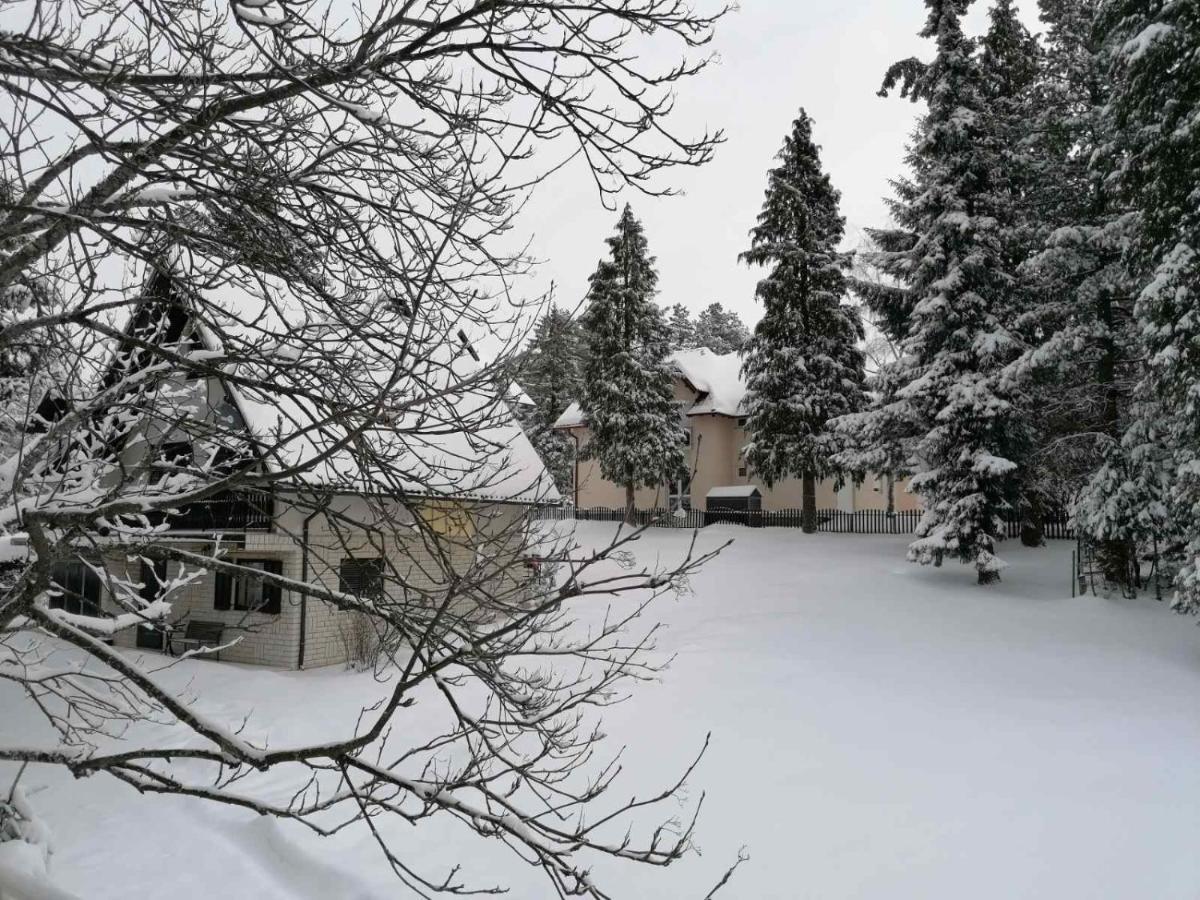 Kuca Za Odmor Zlatibor Villa Buitenkant foto