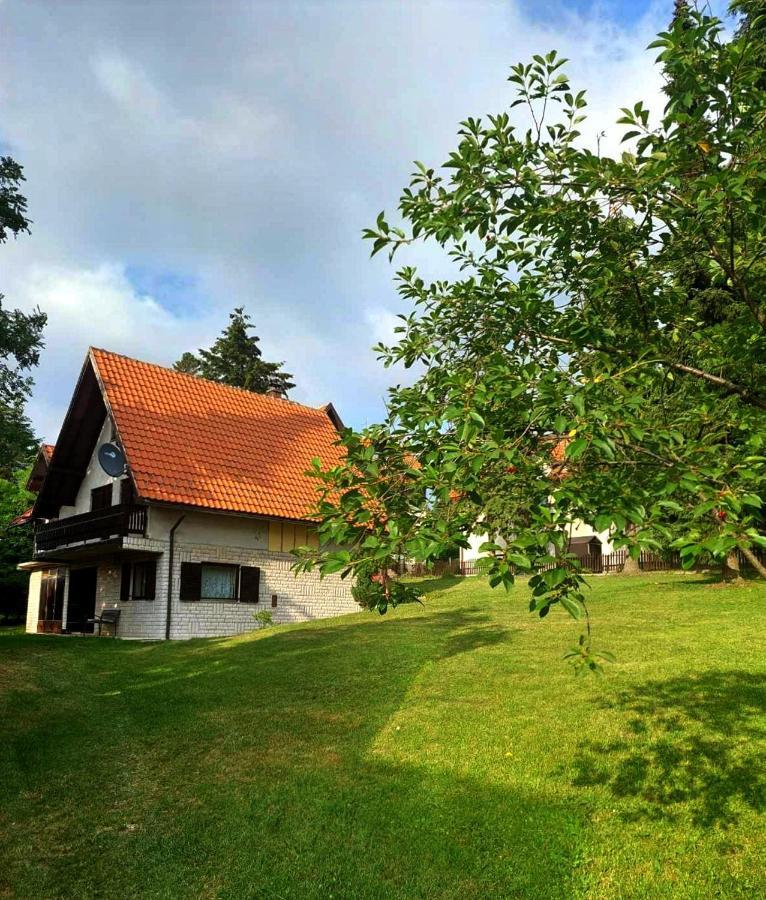 Kuca Za Odmor Zlatibor Villa Buitenkant foto