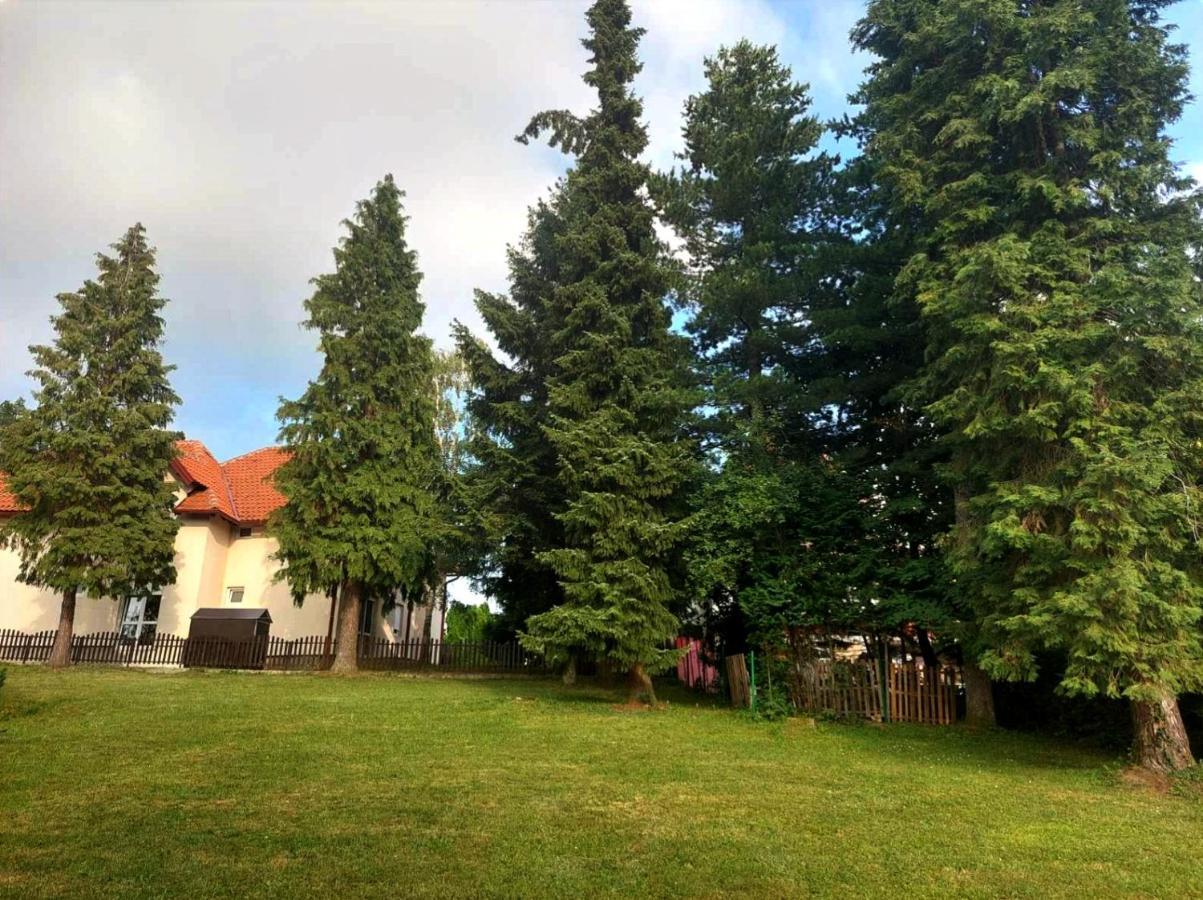 Kuca Za Odmor Zlatibor Villa Buitenkant foto