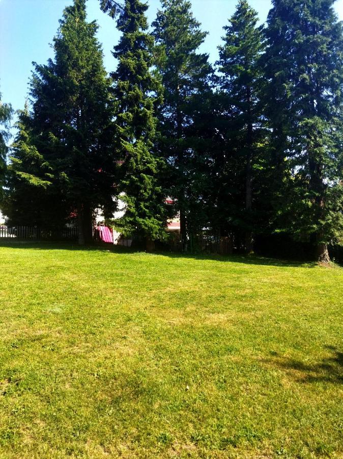 Kuca Za Odmor Zlatibor Villa Buitenkant foto